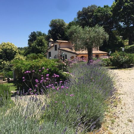 Villa Olivella à Campagnano Di Roma Extérieur photo