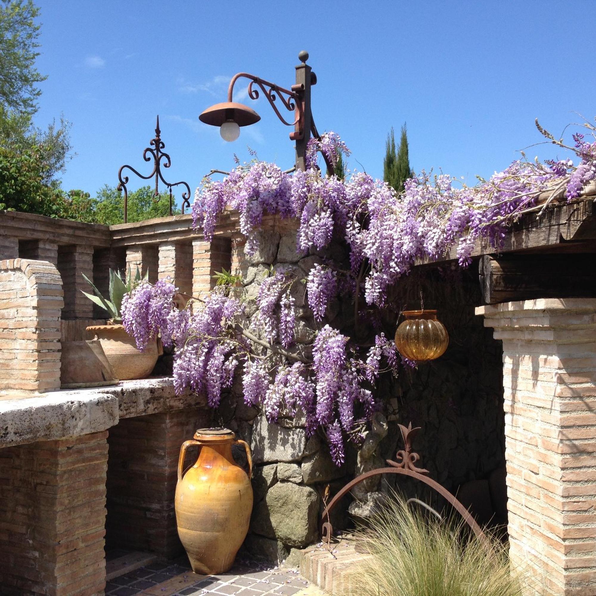 Villa Olivella à Campagnano Di Roma Extérieur photo