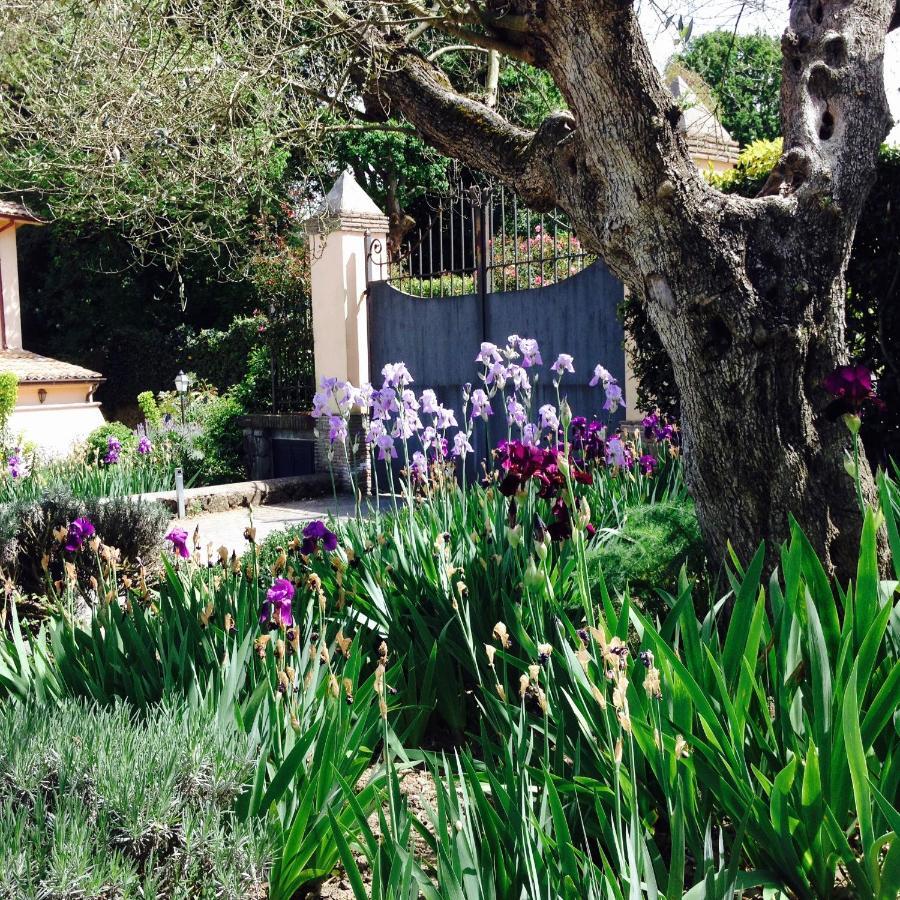 Villa Olivella à Campagnano Di Roma Extérieur photo