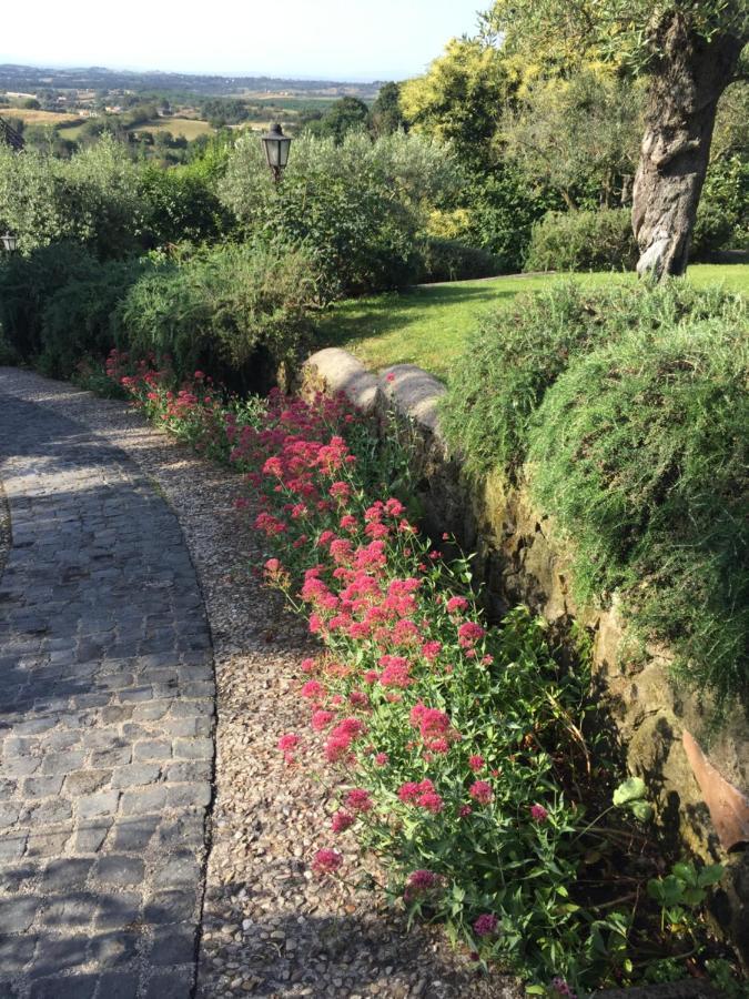 Villa Olivella à Campagnano Di Roma Extérieur photo