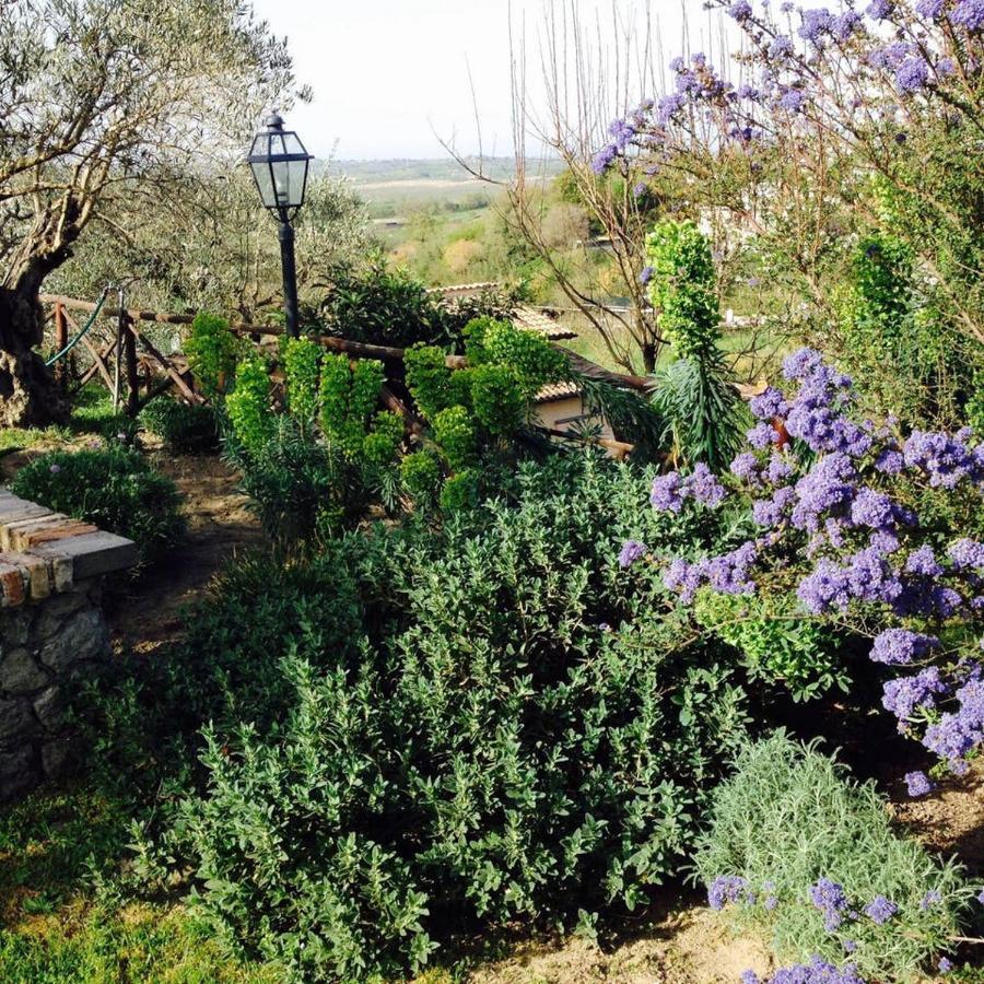 Villa Olivella à Campagnano Di Roma Extérieur photo