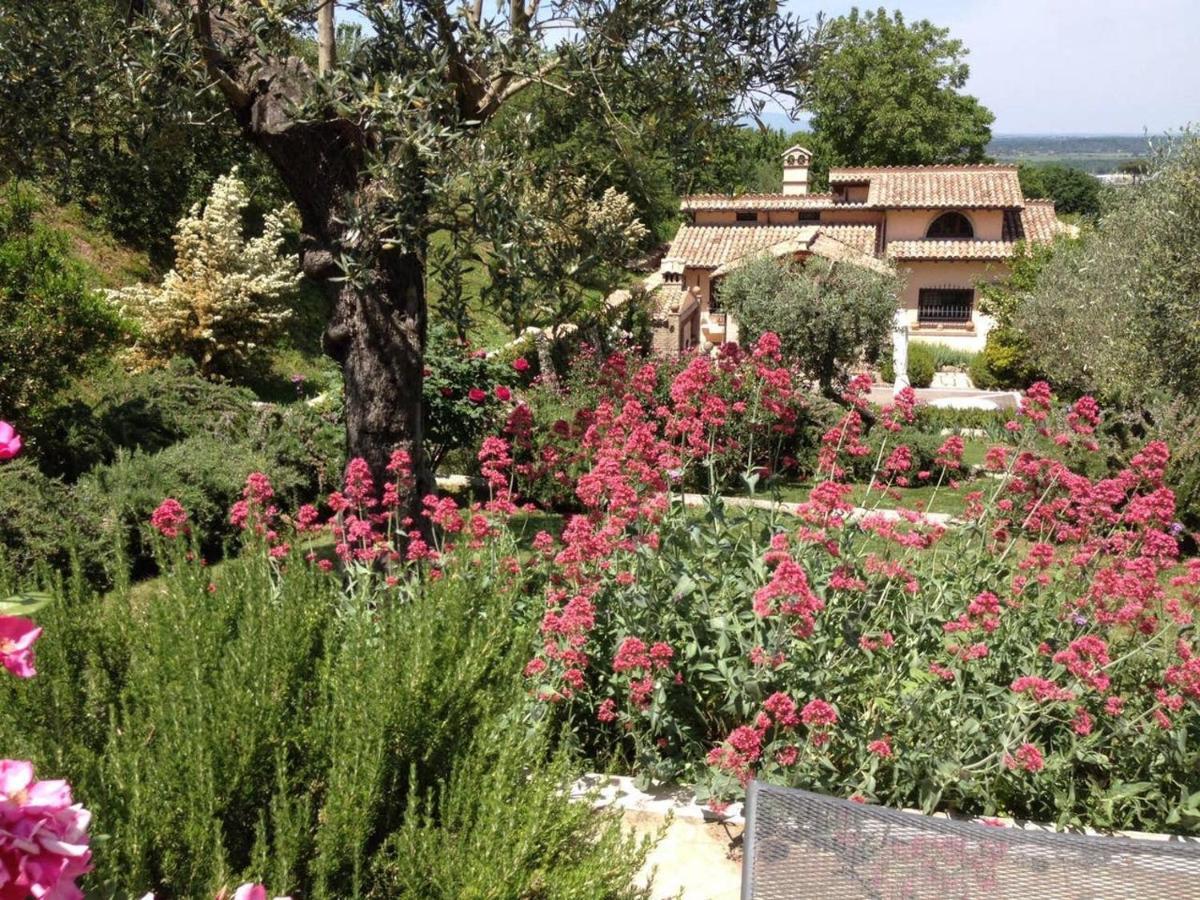 Villa Olivella à Campagnano Di Roma Extérieur photo
